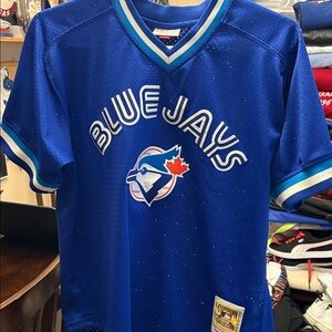 Mitchell & Ness Toronto Blue Jays Royal Blue Mesh Jersey